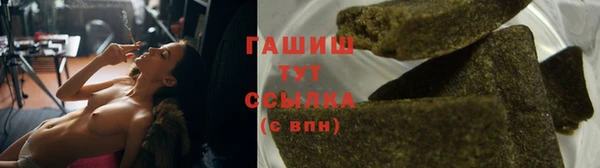 гашик Дмитровск