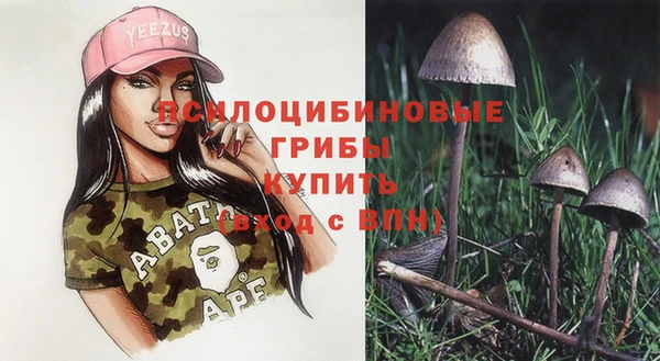 мдпв Гусиноозёрск