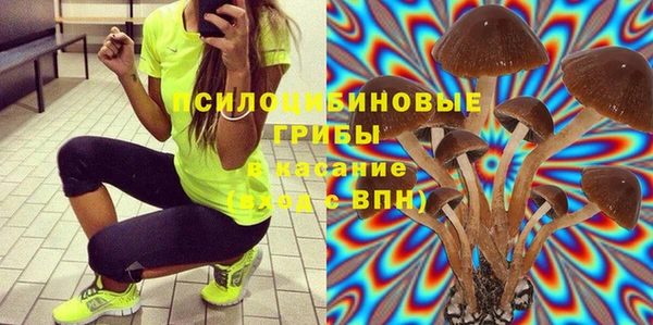 Альфа ПВП Дмитров