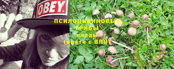 Альфа ПВП Дмитров